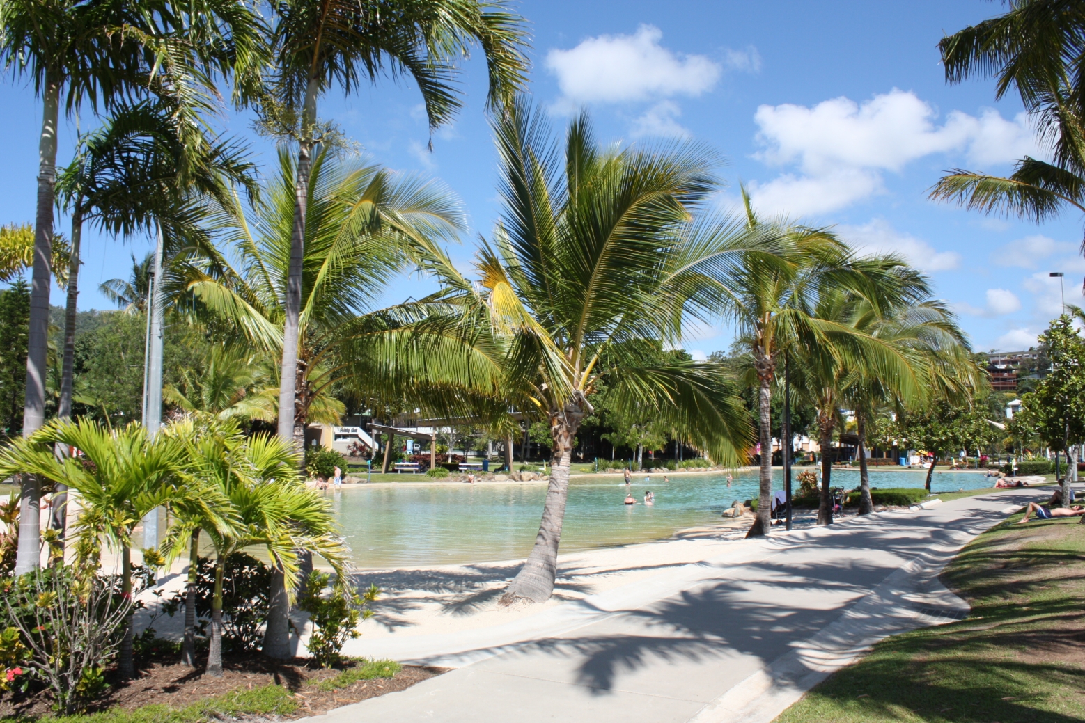 Palm-fringed swimming lagoon and poolside terrace at Airlie Beach
