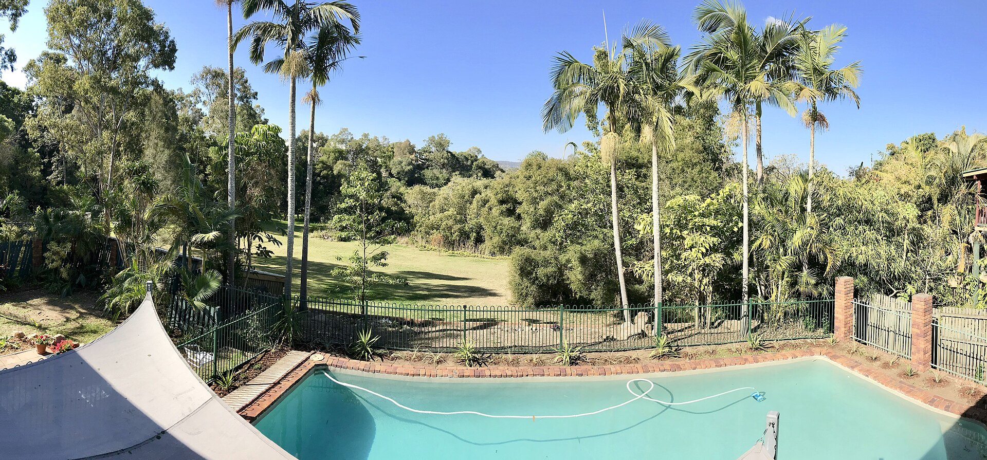 A custom rectangular backyard pool set in a planted Queensland garden