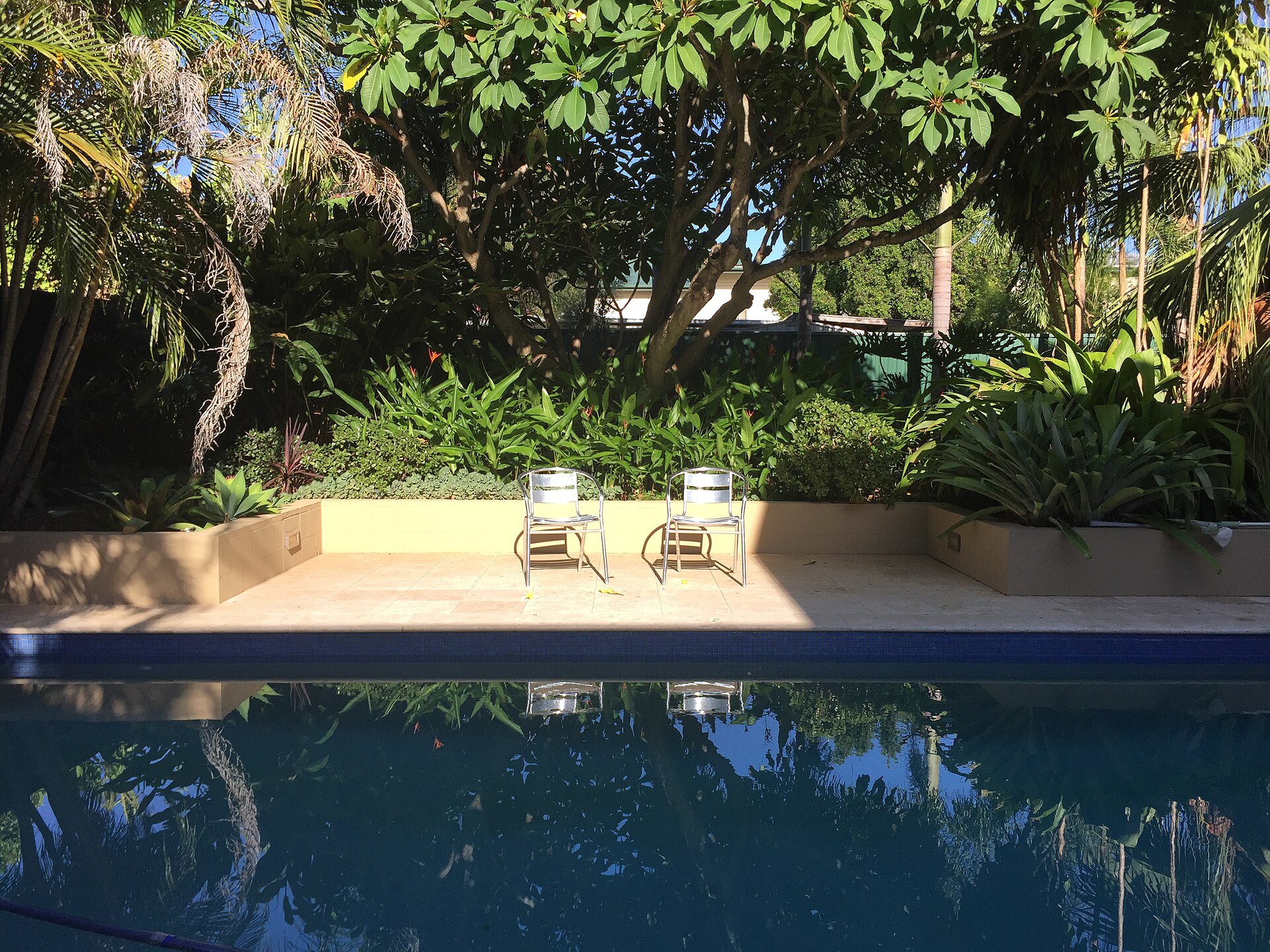 Queensland backyard pool in morning shade and reflection